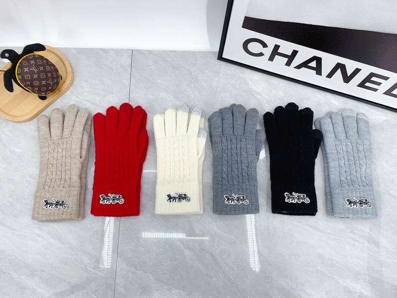 Hermes Gloves dx10